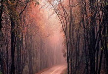 赏金船长：西甲第11輪巴列卡諾1-0巴塞羅那 德佩罰失點球法爾考反擊破門.