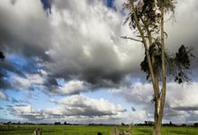 赏金船长官网：英格蘭足總杯決賽曼城2-1曼聯 京多安梅開二度！曼城三冠王成就只差歐冠！.