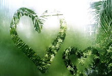 赏金船长官网：【原创】足彩预测：周六011英超-南安普敦VS纽卡斯尔联.