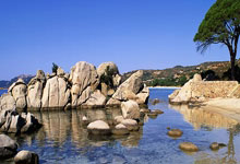 [视频]【新思想引领新征程】推动水利高质量发展 保障我国水安全.